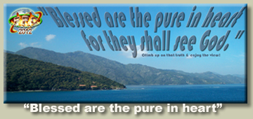 blessed is the pure in heart