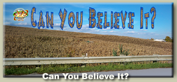 Can yoy believe it 2