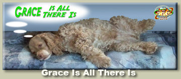 Grace is all there is